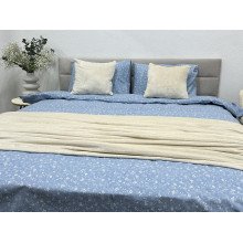 Постельное белье Ecotton Фланель Евро комплект Цветок на голубом 250958
