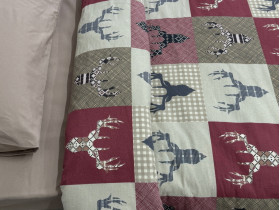 Постельное белье Ecotton Фланель Полуторный комплект Олени на красном 29345/2