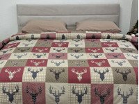 Постільна білизна Ecotton Фланель Двоспальний комплект Олені на червоному 29345/2