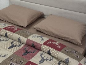 Постельное белье Ecotton Фланель Евро комплект Олени на красном 29345/2