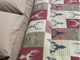 Постільна білизна Ecotton Фланель Двоспальний комплект Олені на червоному 29345/2