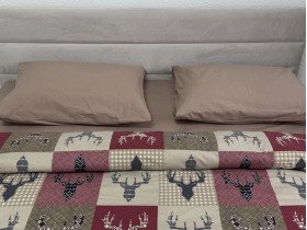 Постільна білизна Ecotton Фланель Полуторний комплект Олені на червоному 29345/2