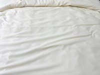 Постільна білизна Ecotton Полісатин Євро комплект Cream Yellow