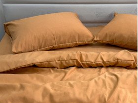 Постельное белье Ecotton Полисатин пододеяльник 210x215 наволочки 50x70 (2 шт.) Оранжевый