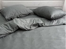 Постільна білизна Ecotton Полісатин підковдра 210x215 наволочки 50x70 (2 шт.) Сірий
