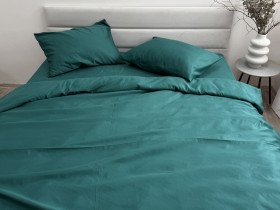 Постельное белье Ecotton Полисатин пододеяльник 210x215 наволочки 50x70 (2 шт.) Зеленый