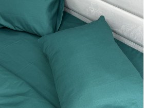 Постельное белье Ecotton Полисатин пододеяльник 210x215 наволочки 50x70 (2 шт.) Зеленый