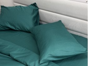 Постельное белье Ecotton Полисатин пододеяльник 210x215 наволочки 50x70 (2 шт.) Зеленый