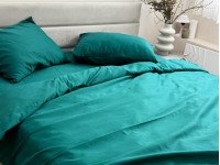 Постельное белье Ecotton Полисатин пододеяльник 180x215 наволочки 50x70 (2 шт.) Зеленый