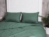 Постельное белье Ecotton Поплин Двуспальный комплект пододеяльник + наволочки 50x70 (2 шт.) Зеленый 488