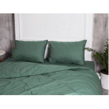 Постельное белье Ecotton Поплин Евро комплект пододеяльник + наволочки 50x70 (2 шт.) Зеленый 488