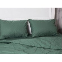 Постельное белье Ecotton Поплин Евро комплект пододеяльник + наволочки 50x70 (2 шт.) Зеленый 488