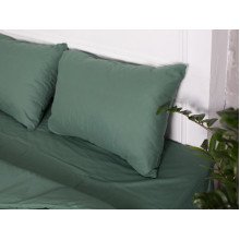 Постельное белье Ecotton Поплин Евро комплект пододеяльник + наволочки 50x70 (2 шт.) Зеленый 488