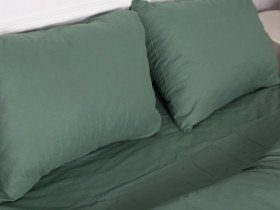 Постільна білизна Ecotton Поплін Двоспальний комплект підковдра + наволочки 50x70 (2 шт.) Зелений 488
