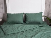 Постельное белье Ecotton Поплин Двуспальный комплект пододеяльник + наволочки 50x70 (2 шт.) Зеленый 488