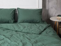 Постельное белье Ecotton Поплин Евро комплект пододеяльник + наволочки 50x70 (2 шт.) Зеленый 488