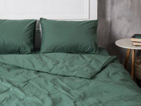 Постільна білизна Ecotton Поплін Євро комплект підковдра + наволочки 50x70 (2 шт.) Зелений 488