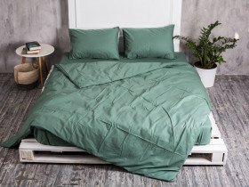 Постільна білизна Ecotton Поплін Євро комплект підковдра + наволочки 50x70 (2 шт.) Зелений 488