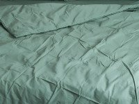 Постельное белье Ecotton Поплин Двуспальный комплект пододеяльник + наволочки 50x70 (2 шт.) Зеленый 488