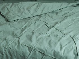 Постільна білизна Ecotton Поплін Двоспальний комплект підковдра + наволочки 50x70 (2 шт.) Зелений 488
