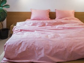 Постільна білизна Ecotton Сатин вишивка кант Євро комплект Brindal Rose