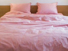 Постельное белье Ecotton Сатин вышивка кант Евро комплект Brindal Rose