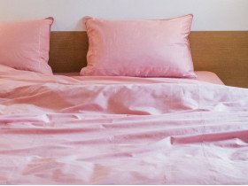 Постельное белье Ecotton Сатин вышивка кант Евро комплект Brindal Rose