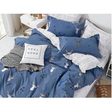 Постельное белье Ecotton Твил-сатин Двуспальный комплект 20005 AB