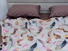 Постільна білизна Ecotton Твіл-сатин Полуторний комплект 20094 AВ