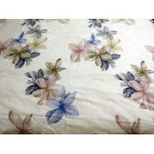 Постільна білизна Ecotton Твіл-сатин Двоспальний комплект 21003 AВ
