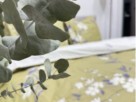 Постільна білизна Ecotton Твіл-сатин Полуторний комплект 21005 AВ