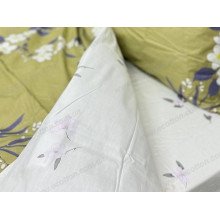 Постельное белье Ecotton Твил-сатин Полуторный комплект 21005 AВ