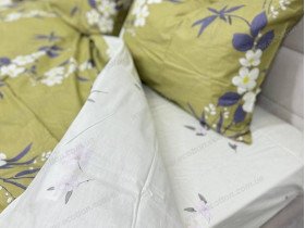 Постельное белье Ecotton Твил-сатин Двуспальный комплект 21005 AВ