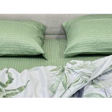 Постельное белье Ecotton Твил-сатин Евро комплект 21006 AВ