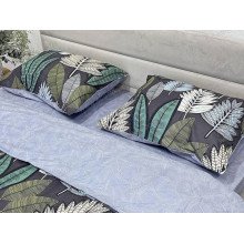 Постельное белье Ecotton Твил-сатин Двуспальный комплект 21201 AВ
