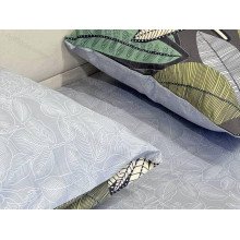 Постельное белье Ecotton Твил-сатин Двуспальный комплект 21201 AВ