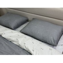 Постільна білизна Ecotton Твіл-сатин Двоспальний комплект 21205 AВ