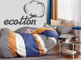 Постельное белье Ecotton Твил-сатин Двуспальный комплект 21215 AВ