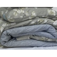 Постільна білизна Ecotton Твіл-сатин Полуторний комплект 24304 AB
