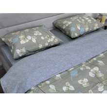 Постельное белье Ecotton Твил-сатин Двуспальный комплект 24304 AB
