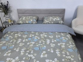 Постельное белье Ecotton Твил-сатин Двуспальный комплект 24304 AB
