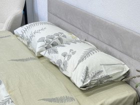 Постельное белье Ecotton Твил-сатин Евро комплект 24305 AB