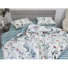 Постельное белье Ecotton Твил-сатин Двуспальный комплект 24307 AB