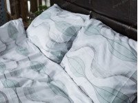 Постельное белье Ecotton Твил-сатин Двуспальный комплект 9920