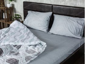 Постільна білизна Ecotton Твіл-сатин Двоспальний комплект 9920