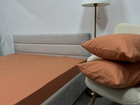Простынь на резинке 160x200 Ecotton Фланель Coral SB-119