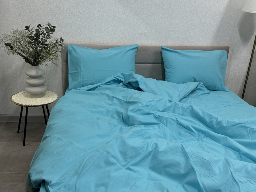 Простирадло на резинці 180x200 Ecotton Фланель Sky Blue SB-134