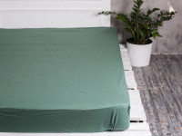 Простынь на резинке 160x200 Ecotton Поплин Зеленый 488