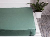 Простирадло на резинці 160x200 Ecotton Поплін Зелений 488