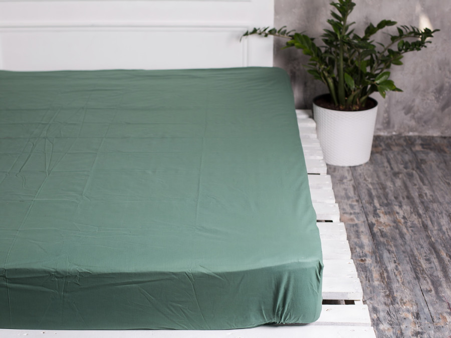 Простирадло на резинці 160x200 Ecotton Поплін Зелений 488